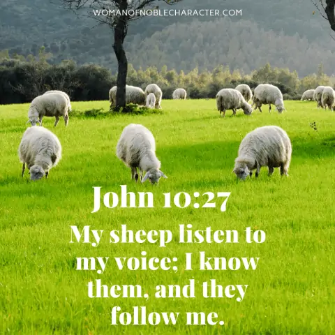 Open doors in the Bible; My sheep listen to my voice