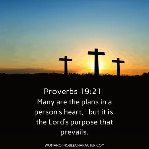 Proverbs 19:21 - is God opening doors in your life