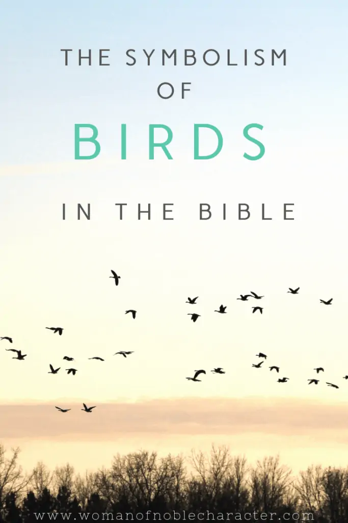 The symbolism of birds in the Bible 