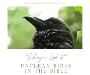 An image of a raven looking up with an overlay of text that says, "A Fascinating Look at Eagles, Ravens and Unclean Birds in the Bible"
