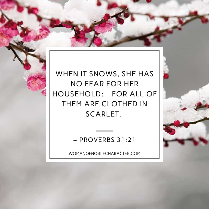 An image of a branch with red berries covered in snow and Proverbs 31:21 quoted