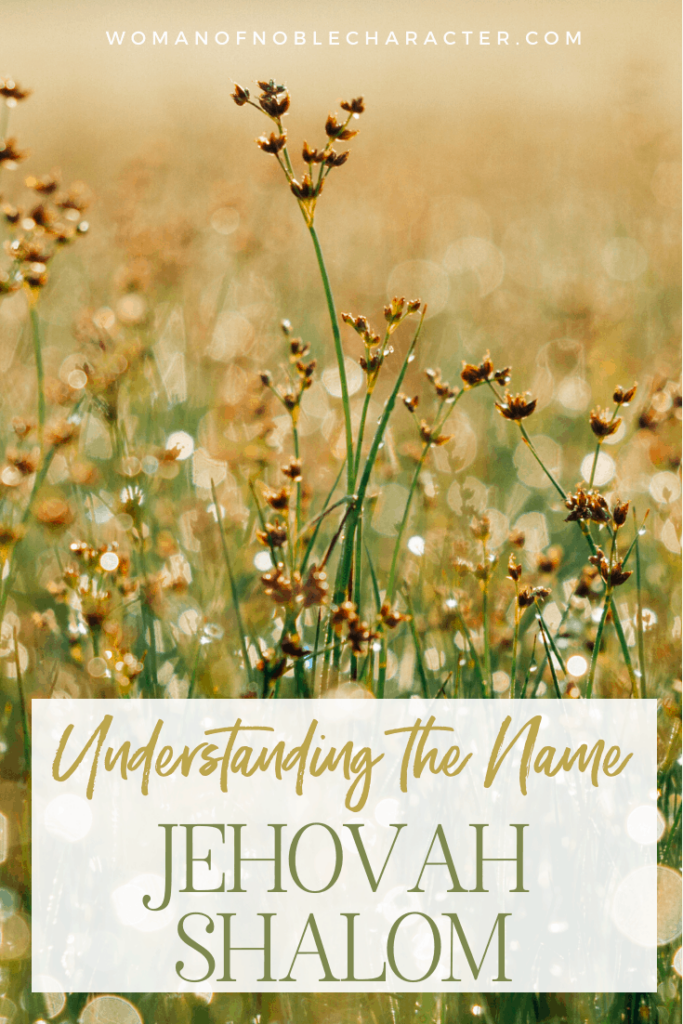image of a field of wildflowers and text that says Understanding the Name Jehovah Shalom