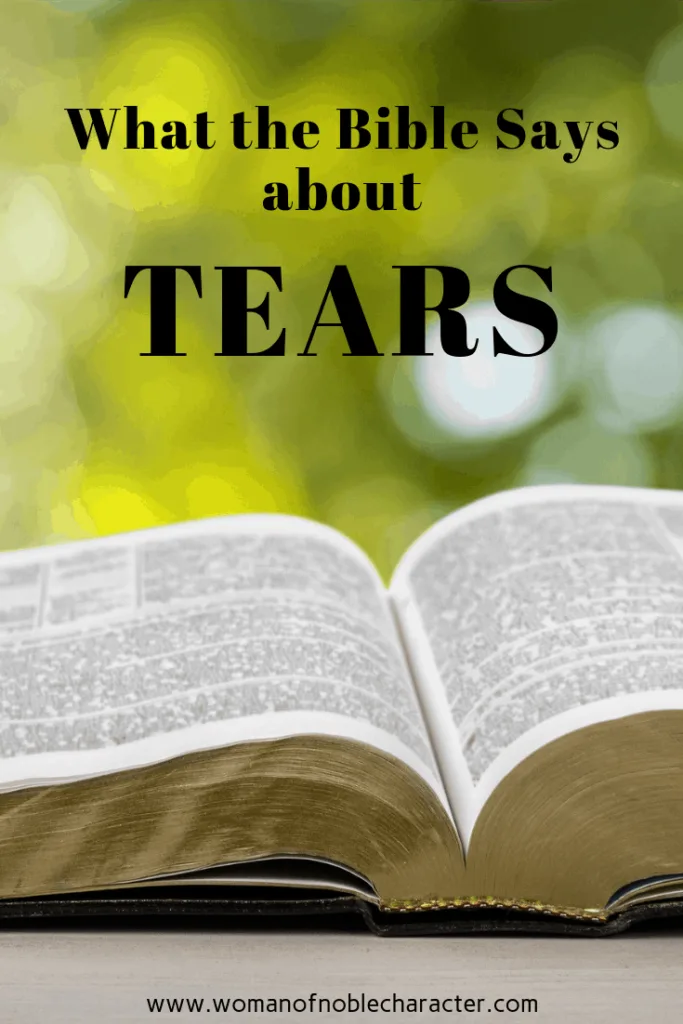 What the Bible Says about Tears 5