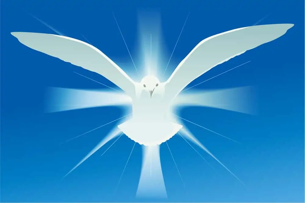 Picture of dove for post Spiritual gifts: what they are, identifying and using yours