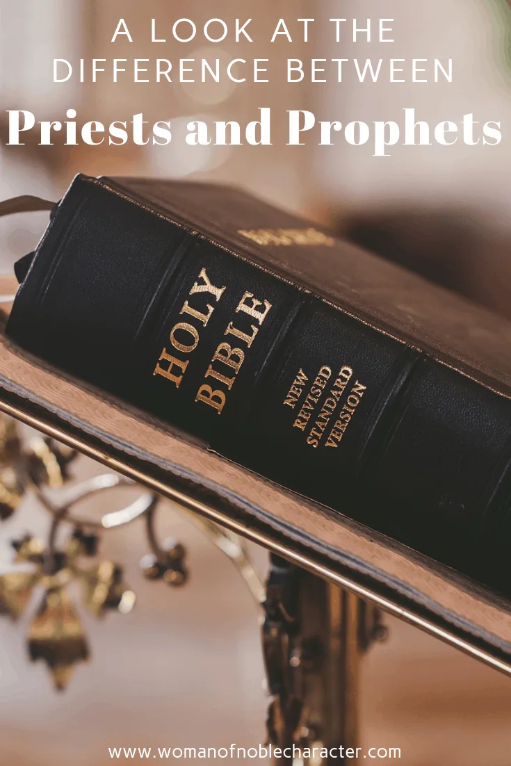 The Difference Between Priests And Prophets 8