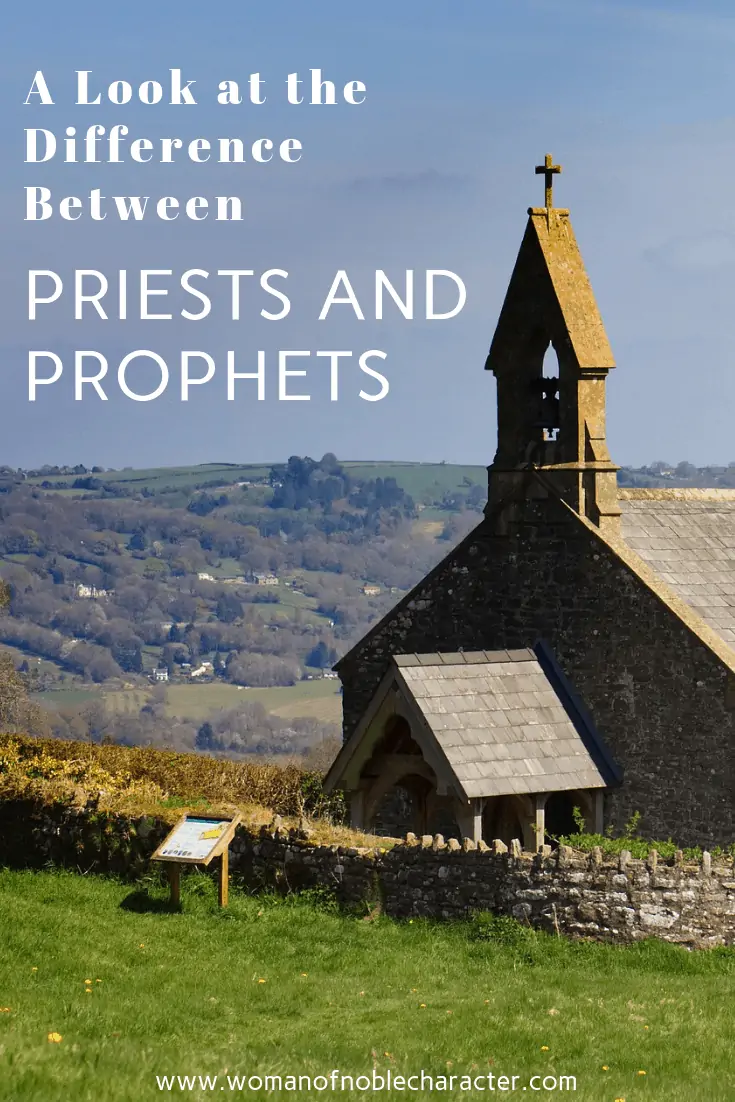 The Difference Between Priests And Prophets 7