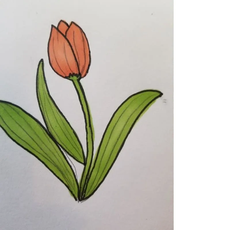 tulip - flowers for Bible journaling 