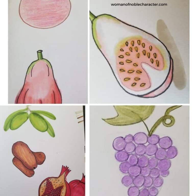 How To Draw Six Easy Fruits For Bible Journaling