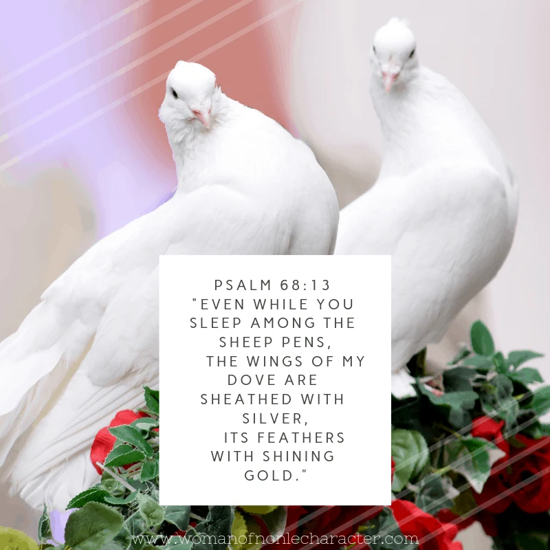 doves, Psalm 68:13