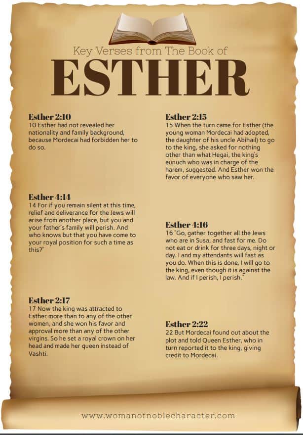 infographic image for Key verses from the book of Esther