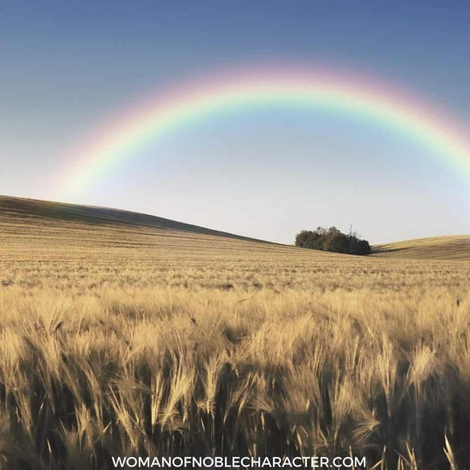 image of rainbow in background of wheat field for the post Three Rainbows In The Bible: 3 of God's Awe-Inspiring Promises to His Children