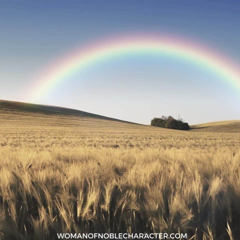 Three Rainbows In The Bible: 3 of God’s Awe-Inspiring Promises to His Children