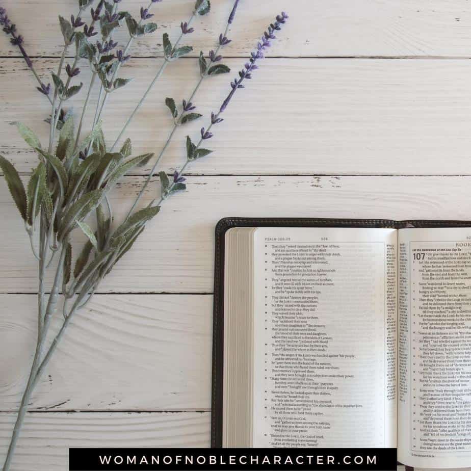 image of open Bible on white wood backgrond with floral stem for the post Symbolism in the Bible