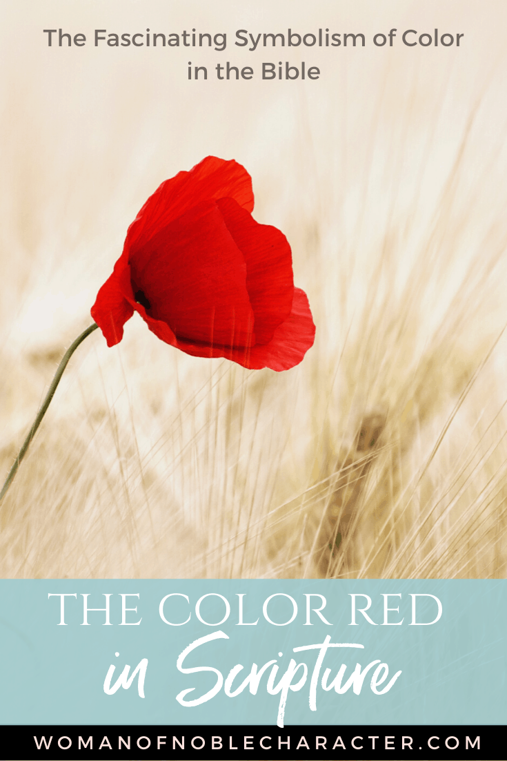 Symbolism of the color Red in the Bible with red flower