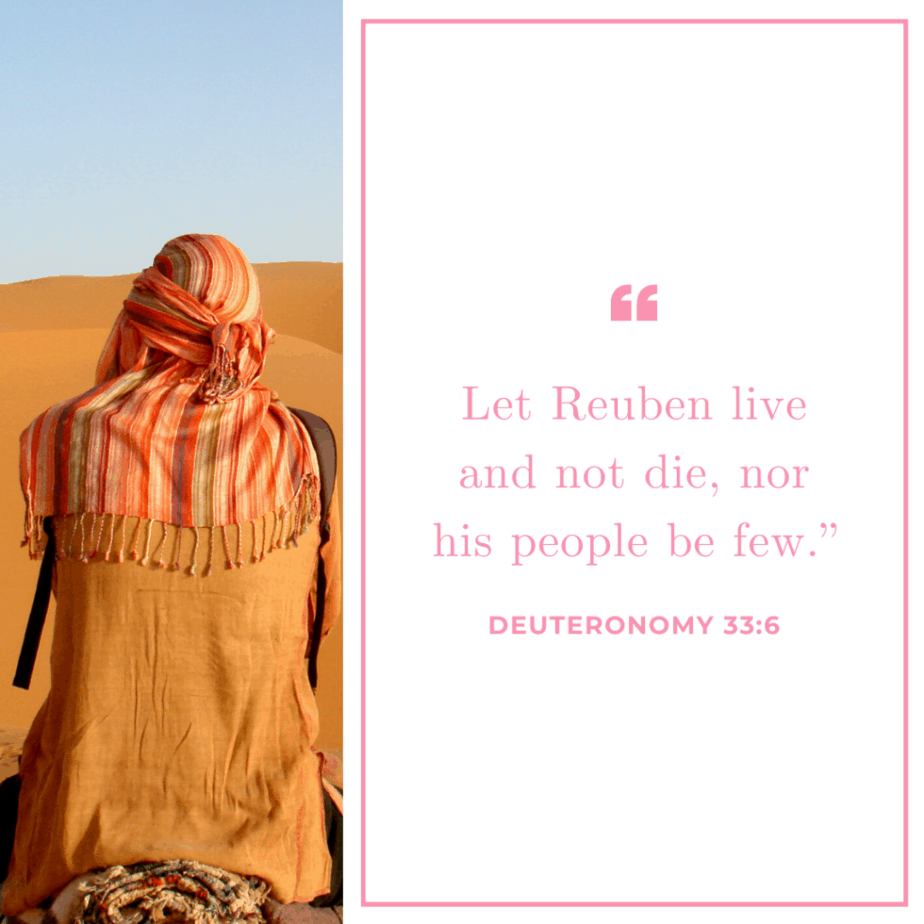 image of man sitting in desert for the postReuben in the Bible - a man in the desert on a camel