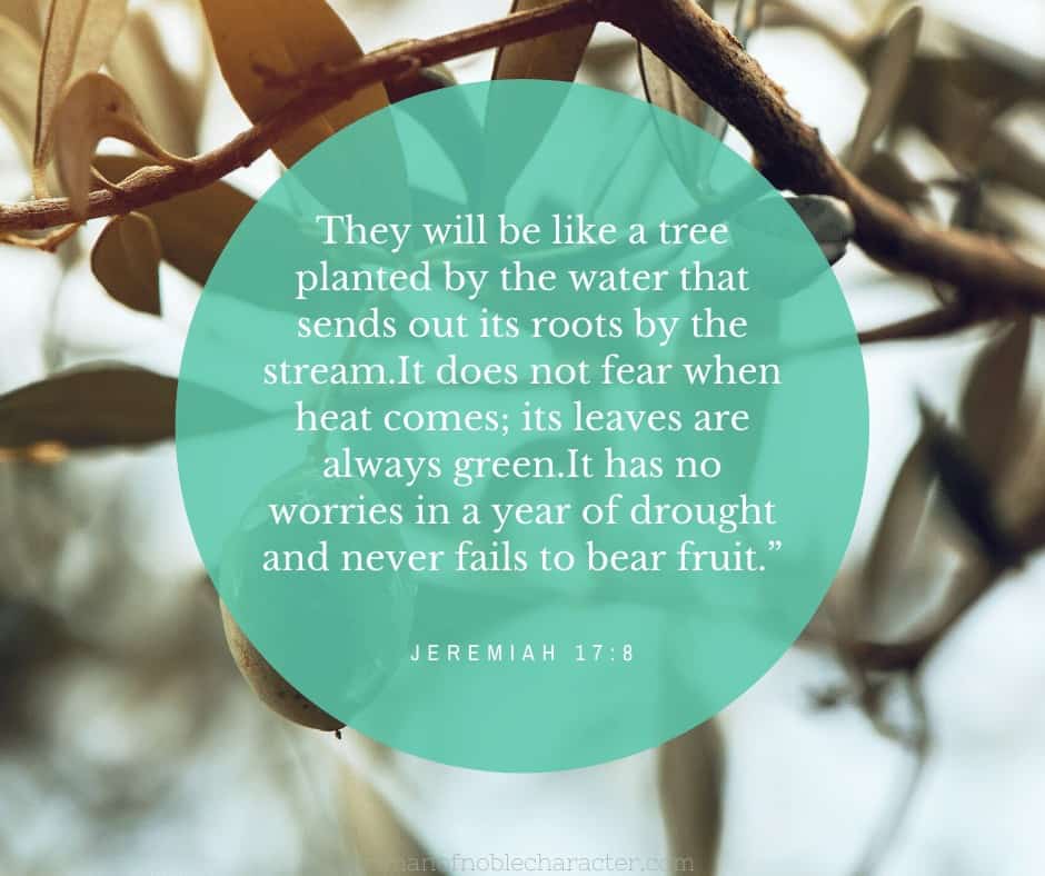 An image of a tree with a text overlay with Jeremiah 17:8 quoted