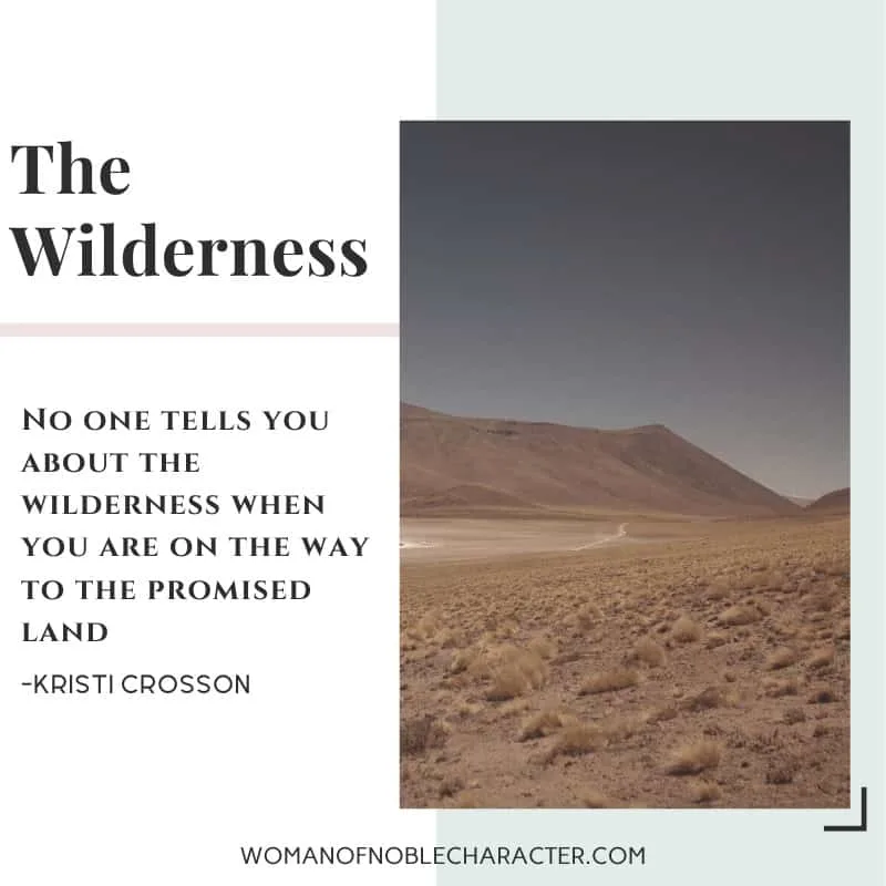 Trusting God in the Wilderness - an image of the desert
