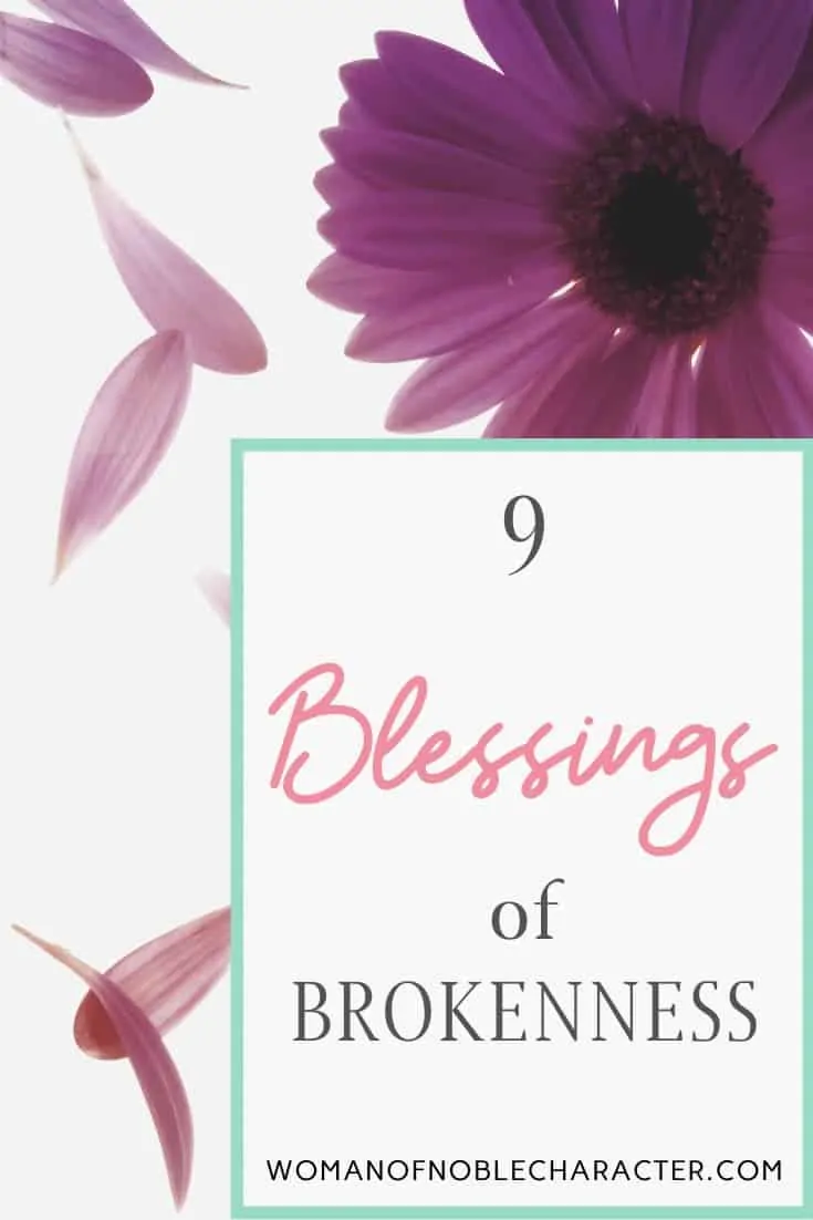 9 Blessings of Brokennness - a purple flower with its pedals flying off