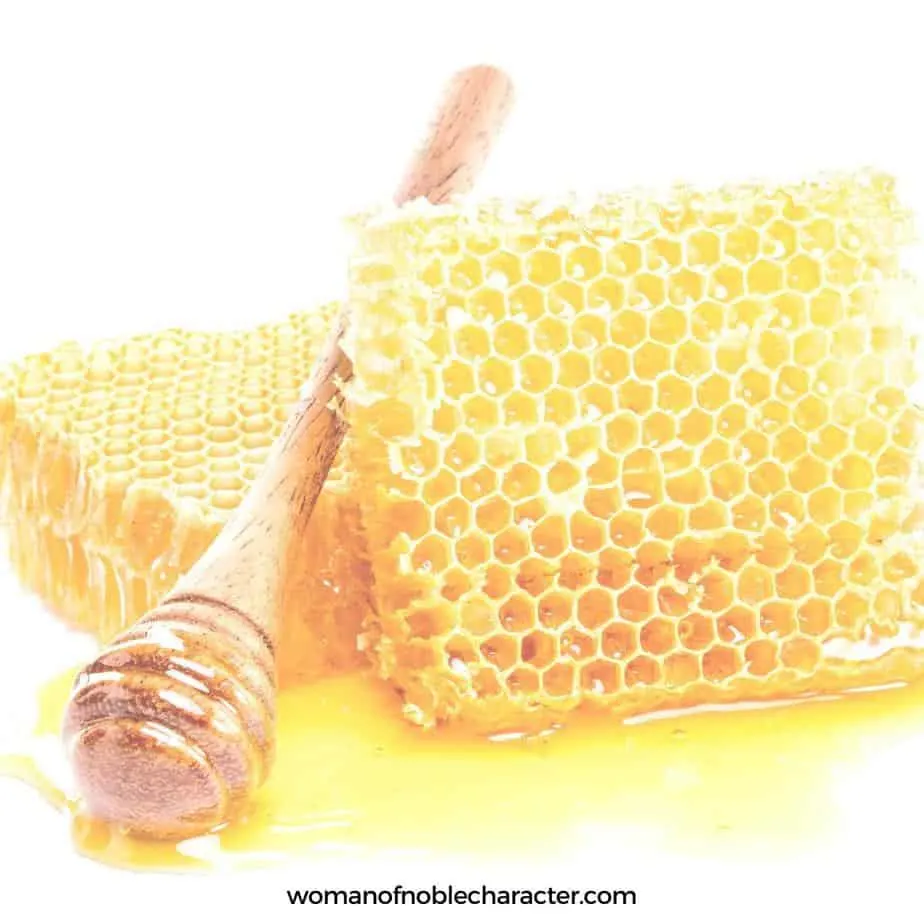 image of honeycomb for the post Fascinating Uses and Symbolism of Honey in the Bible