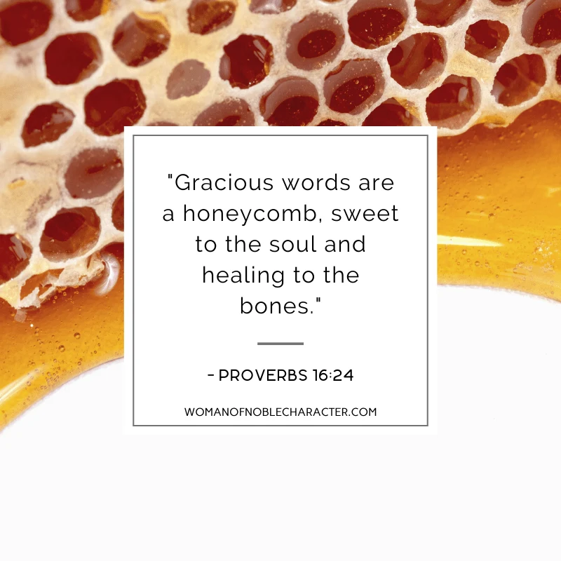 An image of honeycomb and Proverbs 16:24 quoted