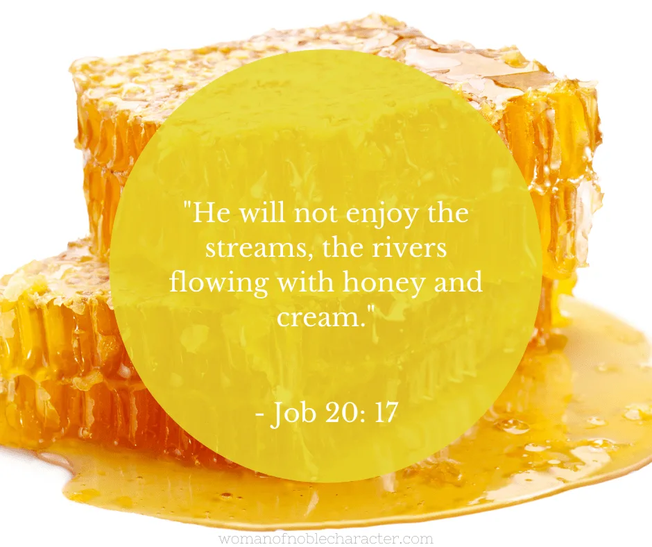 an image of honeycomb and Job 20:17 quoted