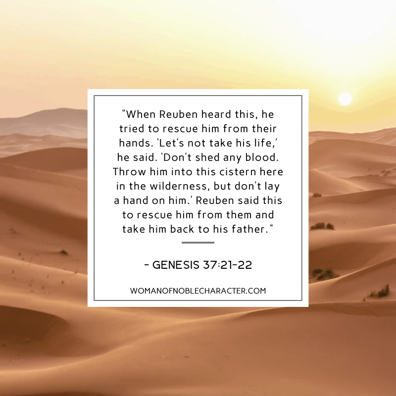 an image of the desert sand and Genesis 37:21-22 quoted 