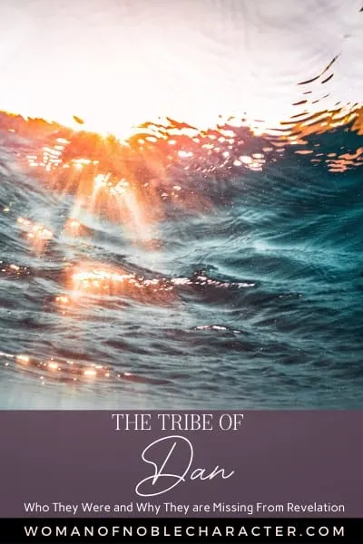 The 12 Tribes of Israel (or is it 14?) 5