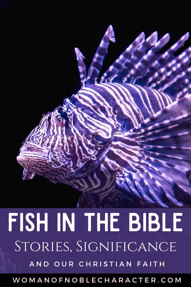 An image of a purple tropical fish - Fish in the Bible