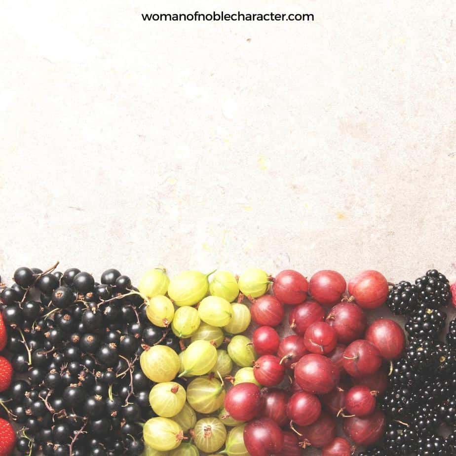image of blueberries, grapes and blackberries for the post Fruits In The Bible: Their Intriguing Symbolism And Use In Scripture