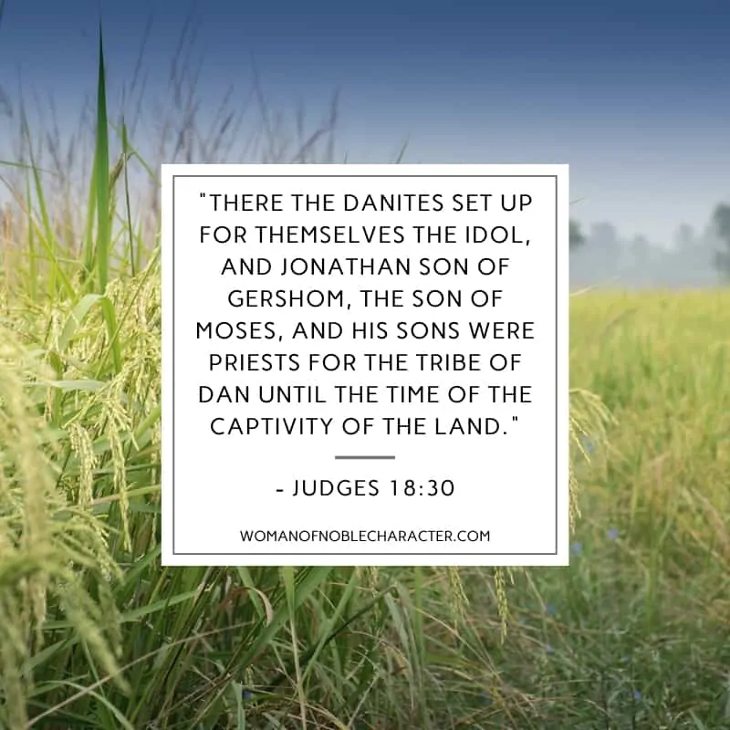 an image of a field of grass and the Bible verse Judges 18:30 quoted 