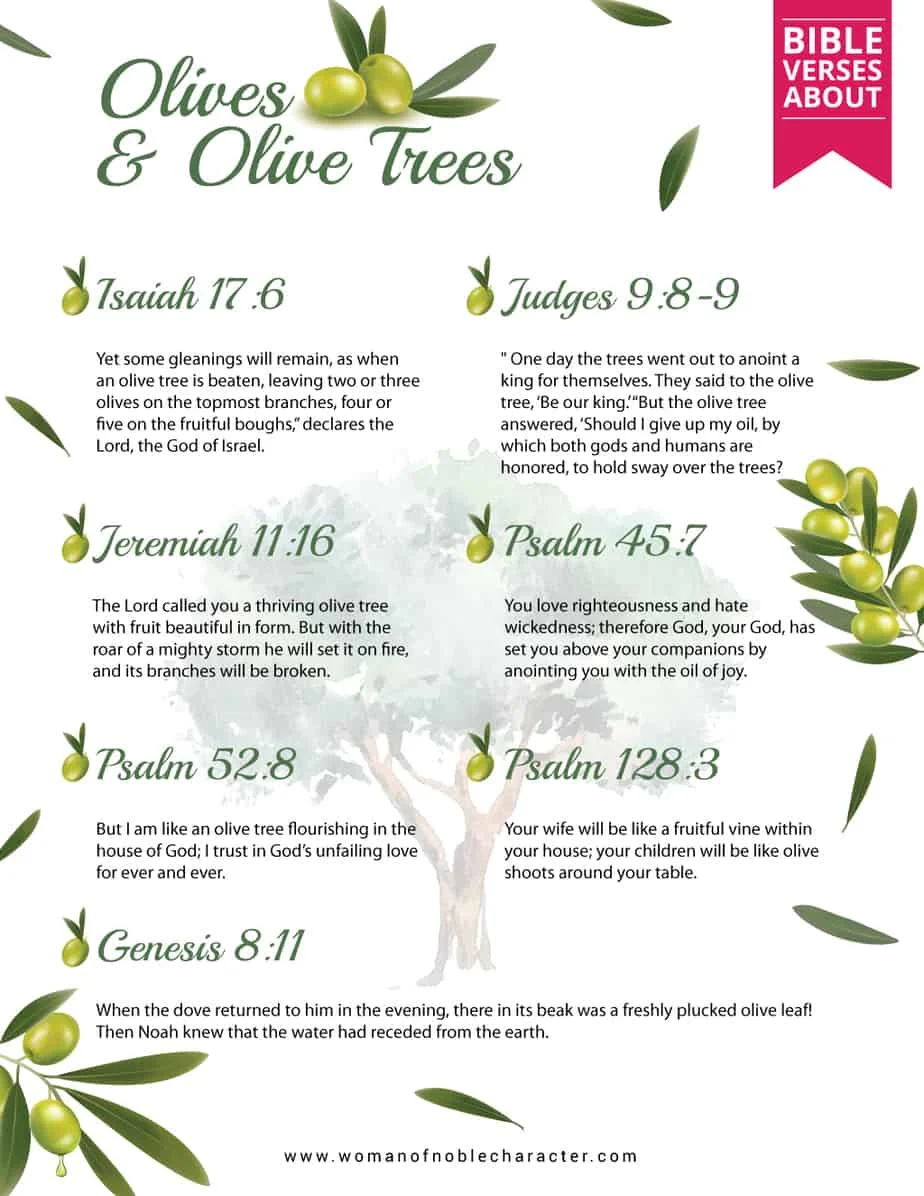Bible-verses-about-Olives-and-Olive-Trees