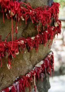 scarlet thread on stone wall; Proverbs 31:21