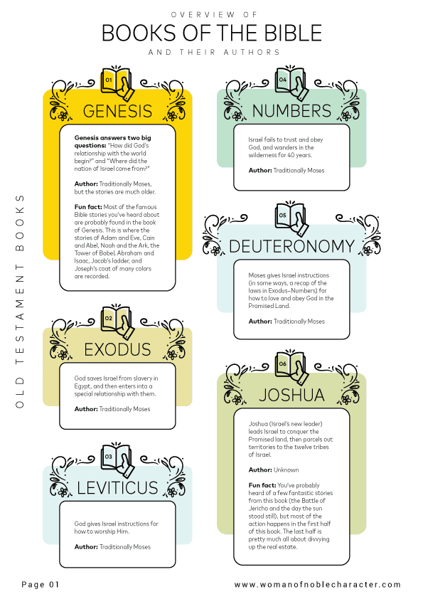 infographic for the Overview of books of the Bible