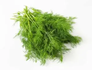 Sprigs of fresh dill weed, uses for biblical spices