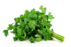 Parsley, uses for biblical spices