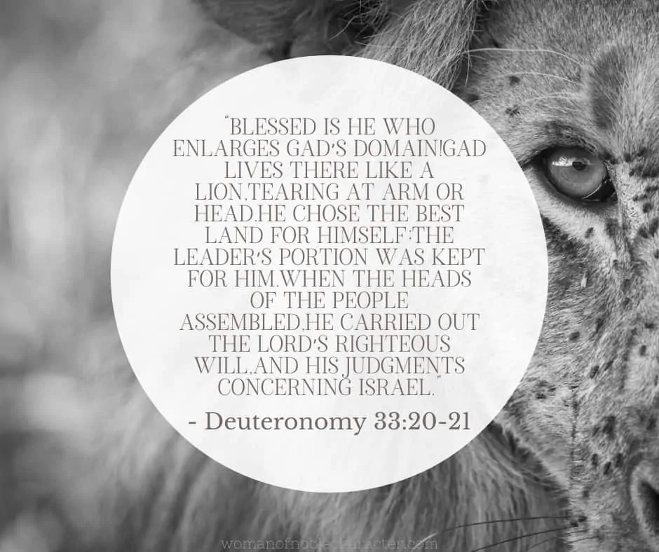 image of a tiger and the bible verse Dueteronomy 33:20-21