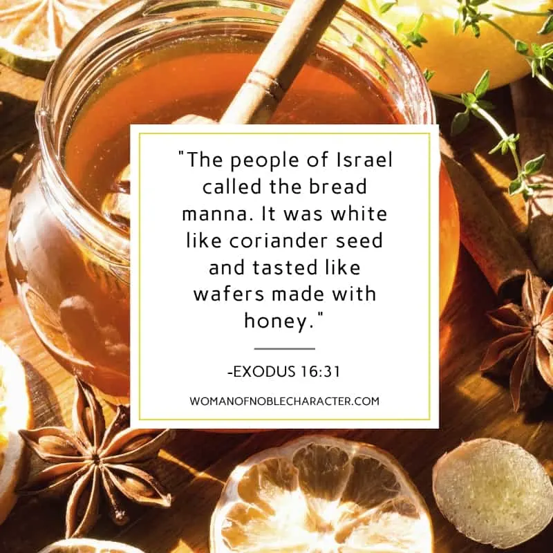 An image of a jar of honey with the quote, ""The people of Israel called the bread manna. It was white like coriander seed and tasted like wafers made with honey." from -Exodus 16:31 on top of it. 