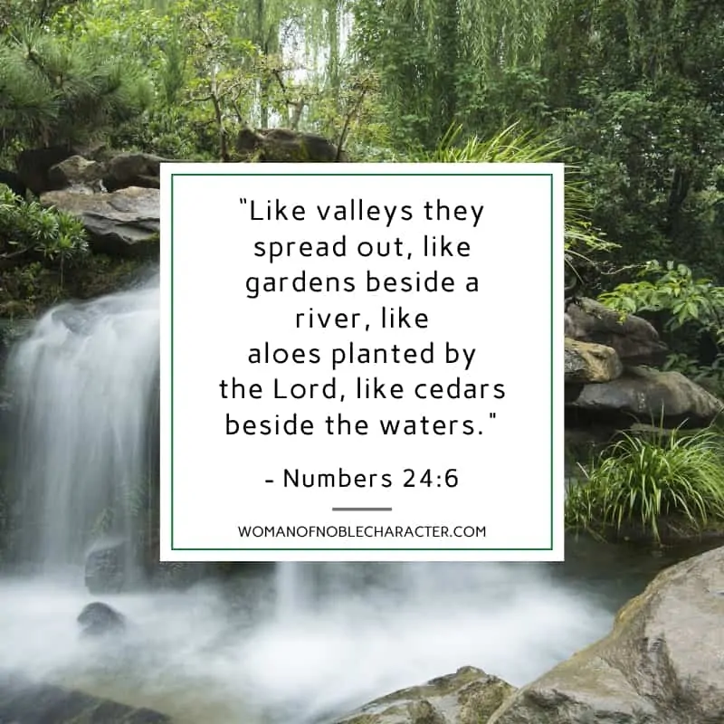 An image of a waterfall with the quote, "“Like valleys they spread out, like gardens beside a river, like aloes planted by the Lord, like cedars beside the waters." from - Numbers 24:6 on top of it. spices in the Bible