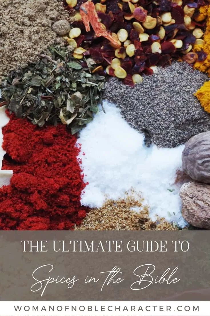 An image of many different spices poured next to each other with an overlay of text that says, "The Ultimate Guide to Spices in the Bible"