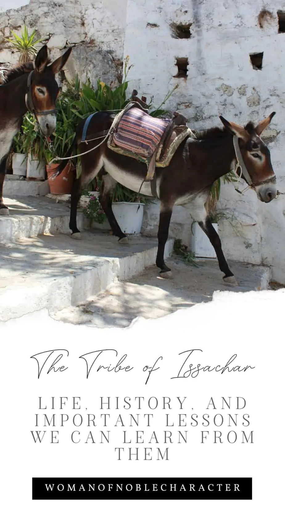donkey with text that says, "The Tribe of Issachar - Life, History, and Important Lessons We Can Learn From Them" 