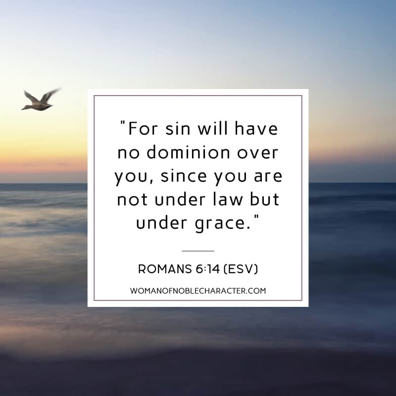 An image of a bird flying in the sunset on a beach with the quote, "For sin will have no dominion over you, since you are not under law but under grace." from Romans 6:14 (ESV)