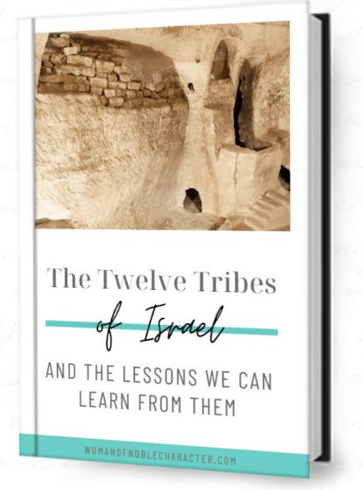 12 tribes of Israel ebook cover