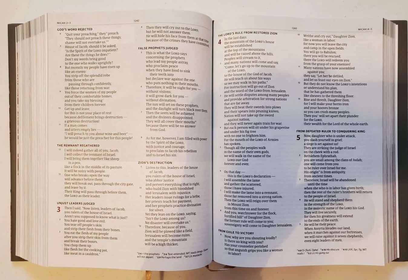 Holy Land Illustrated Bible inside view scripture