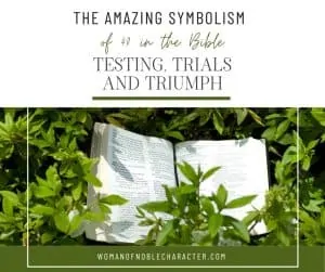 An image of bible laying on top of a plant with the title, "The Amazing Symbolism of 40 in the Bible: Testing, Trials and Triumph"