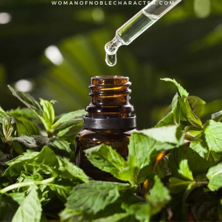 10 Amazing Essential Oils of the Bible: God’s Medicine Cabinet