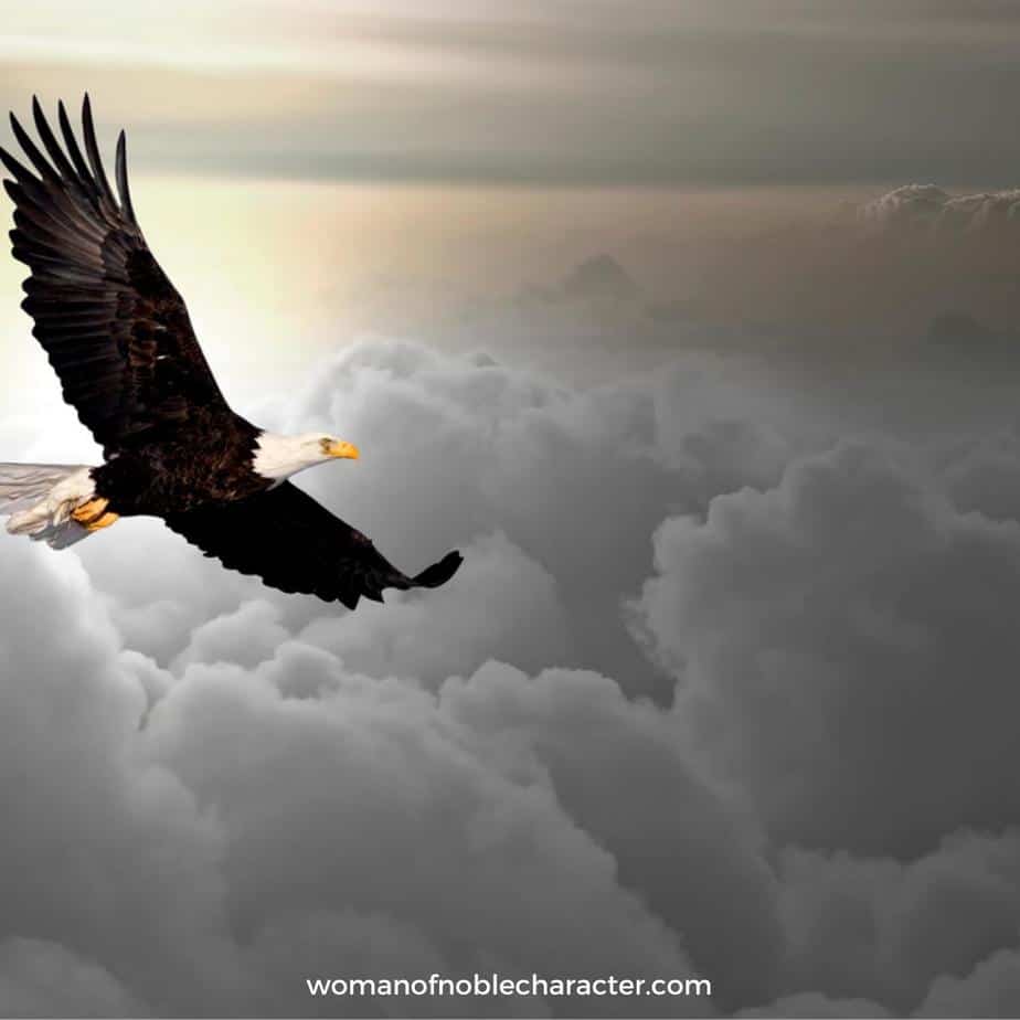 image of eagle soaring in the clouds for the post A Fascinating Look at Eagles, Ravens and Unclean Birds in the Bible