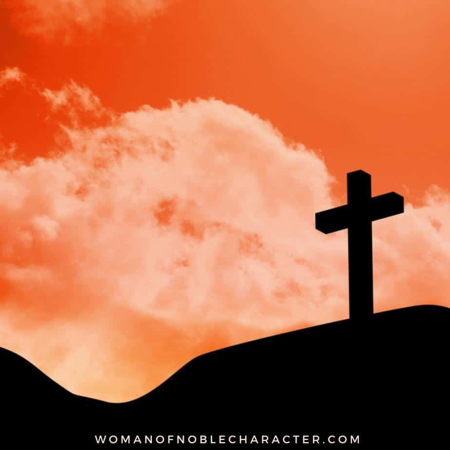 image of cross on. hill with orange sky for the post Bible Stories of Surviving Tragedies