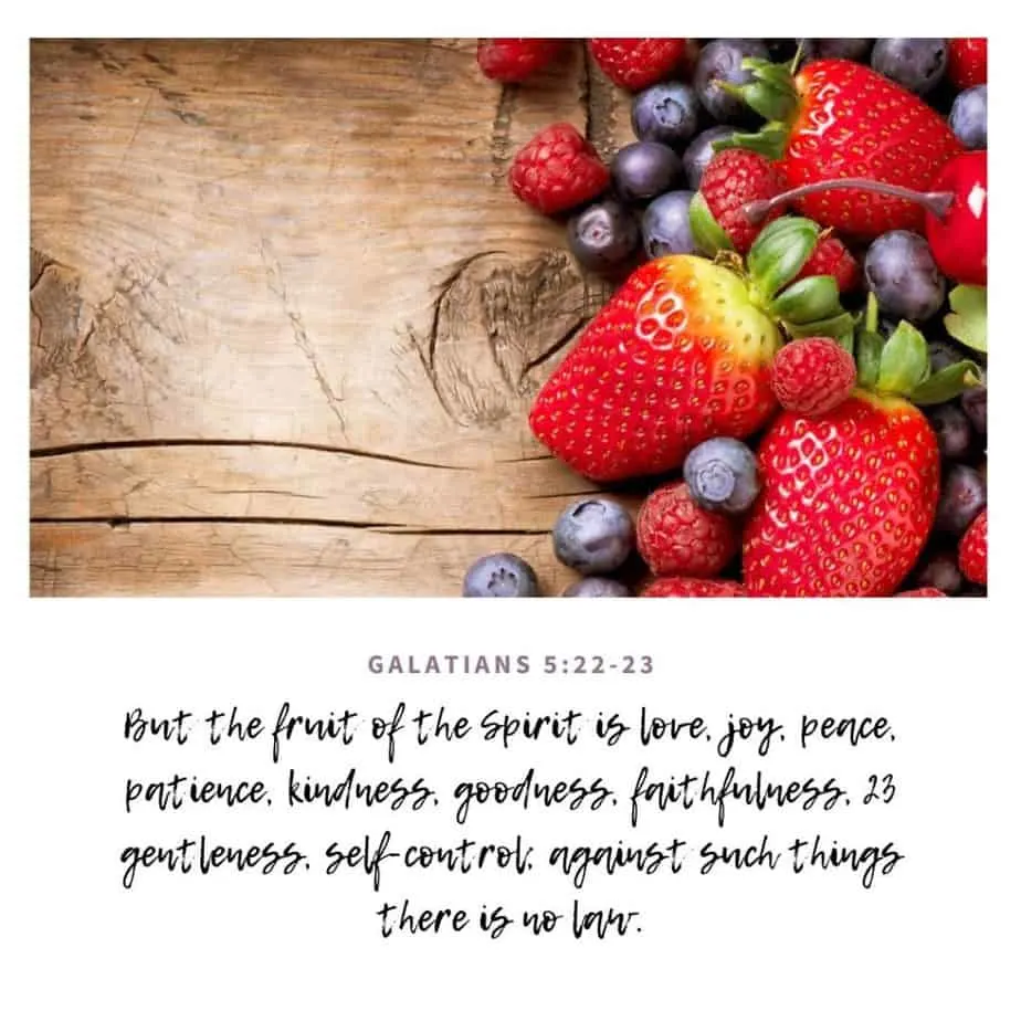 berries on wood background, abide in Him, fruit of the spirit Galatians