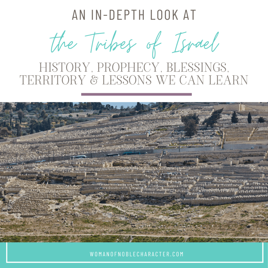 image of biblical ruins in Israel for the post The Twelve Tribes of Israel of is it fourteen