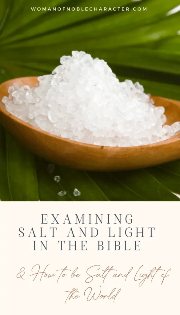 salt on wooden spoon in front of palm leaves; salt and light of the world